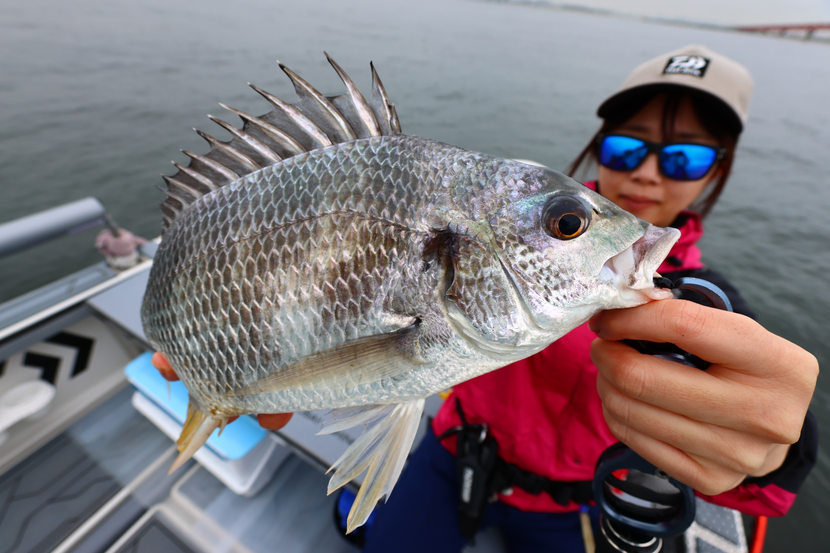 6月7日釣果情報！！ : TOKYOBAY FISHING GUIDE SERVICE Glory