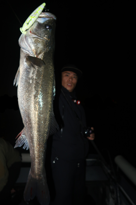 sketch-1668808180549