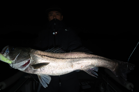 sketch-1667940955412