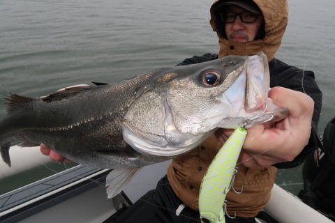 20201010092007_IMG_0493