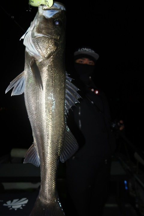 20240117213616_IMG_9707