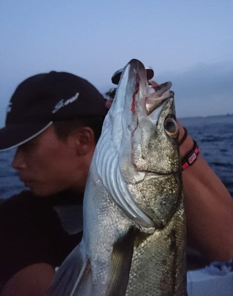 [画像:c7bd429c-s.jpg]