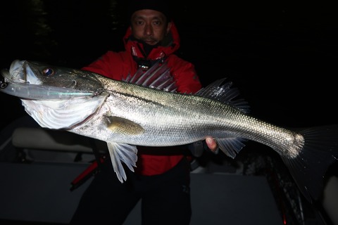 20221217183444_IMG_4189