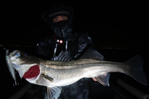 20240221203507_IMG_0075