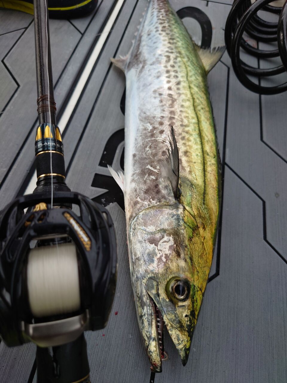 9月30日釣果情報 Tokyobay Fishing Guide Service Glory グローリーフィッシング