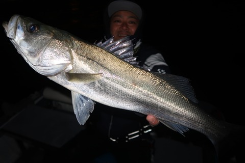 20200302222531_IMG_7843