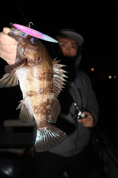 20200425215129_IMG_8561