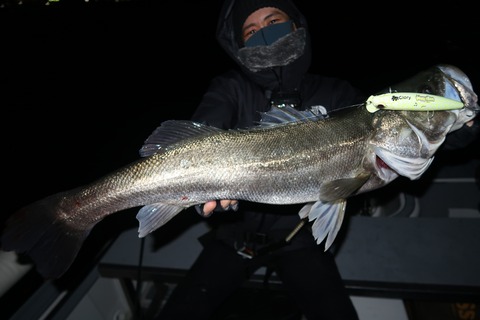 20211023231246_IMG_6910