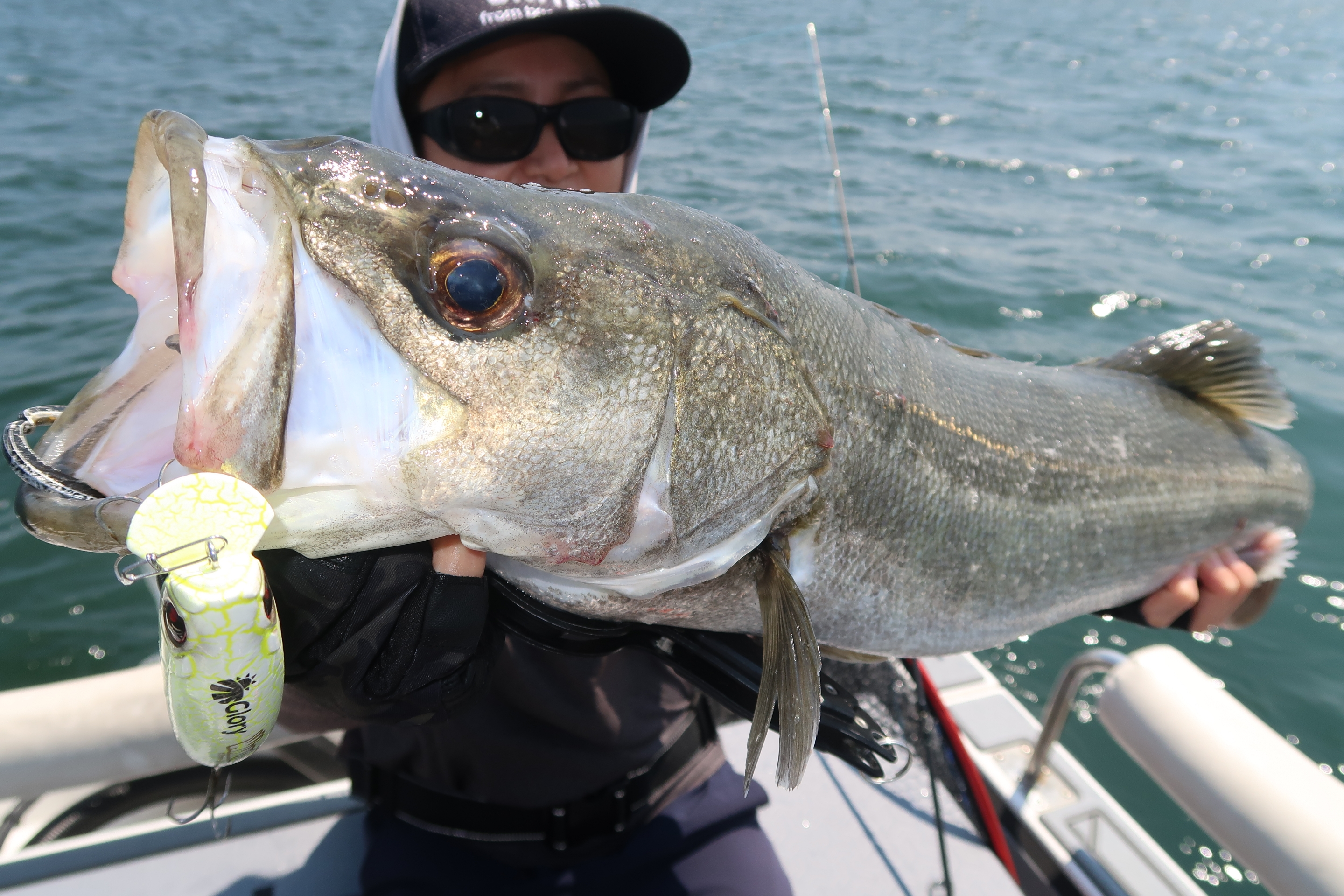 8月26日釣果情報！！ : TOKYOBAY FISHING GUIDE SERVICE Glory
