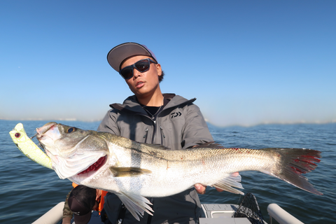 sketch-1633148811749