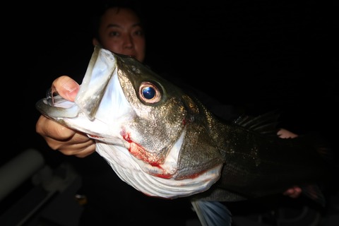 20201003205102_IMG_0346(1)