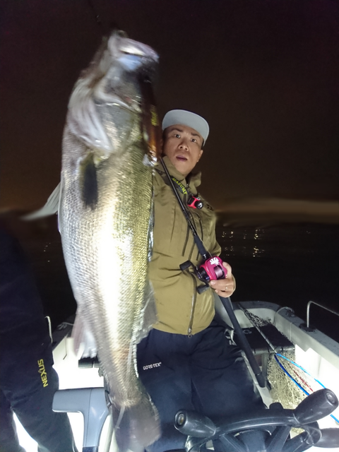 sketch-1542038542144