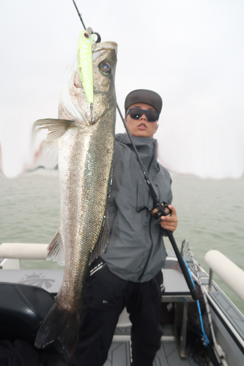 sketch-1602440660565