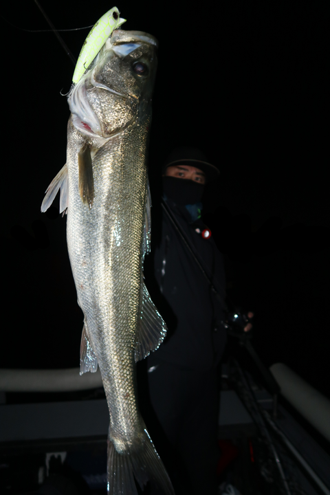 sketch-1671055062620