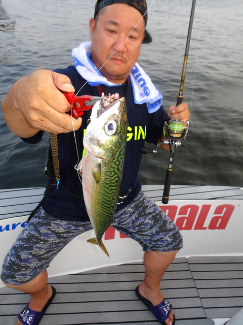 sketch-1564543716405