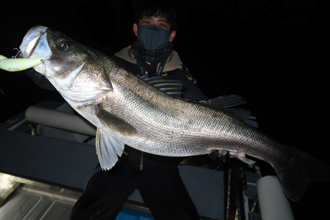 sketch-1639255044795