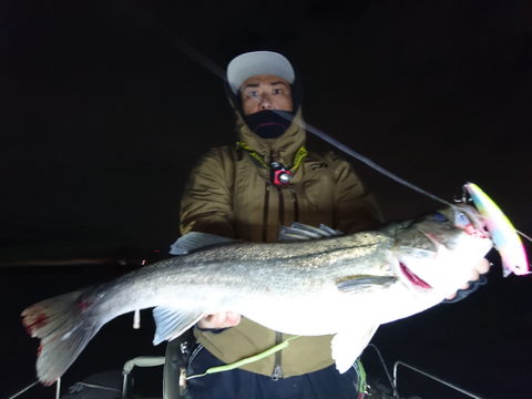 sketch-1543009383271