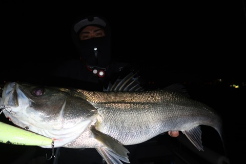 20231113195624_IMG_8424