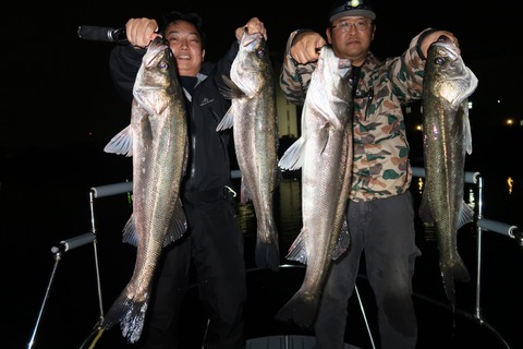 20201004004116_IMG_0390