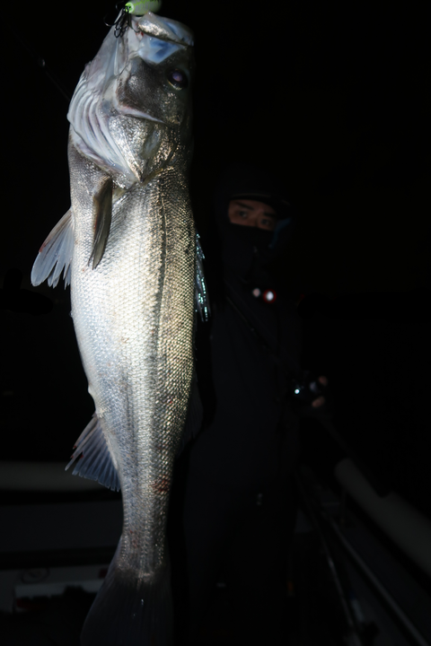 sketch-1671234158462