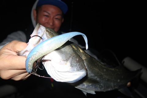 20231027212601_IMG_8231