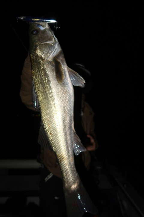 20200501232649_IMG_8640