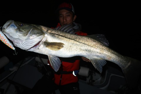 20221108223307_IMG_3067