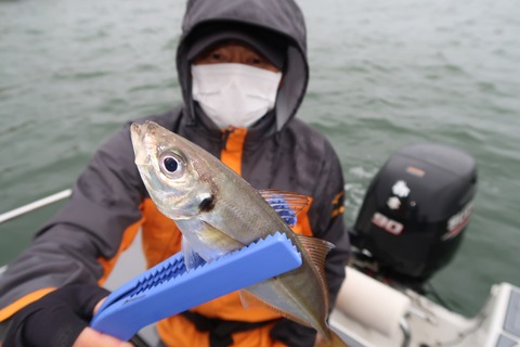 20200420063659_IMG_8483