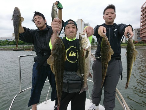 [画像:d1485a17-s.jpg]