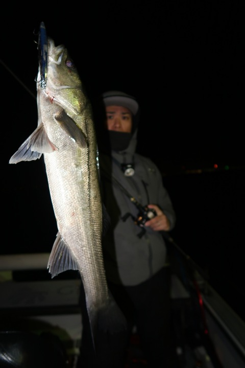 20200314004706_IMG_7947