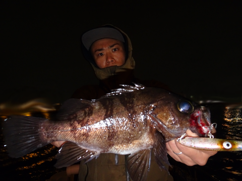 sketch-1557861664930