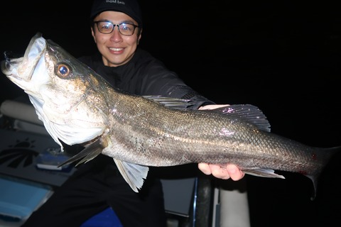 IMG_1941
