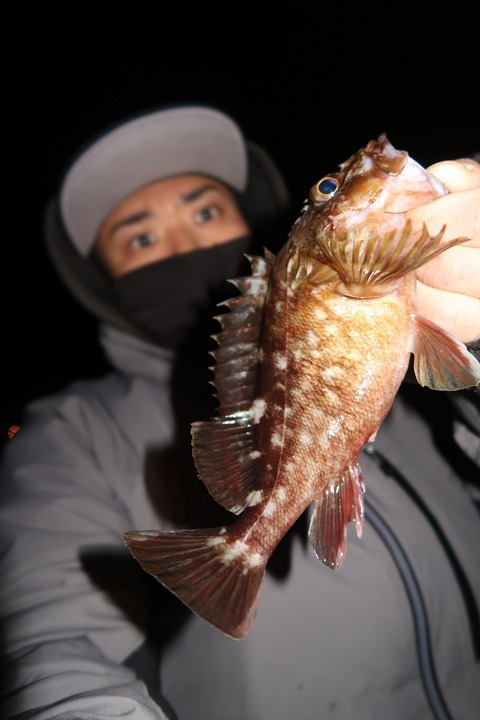 20200127060055_IMG_7320