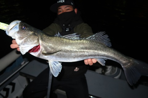 20221221010115_IMG_4240