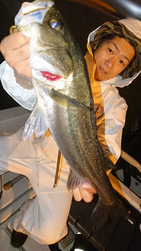 sketch-1526229230901