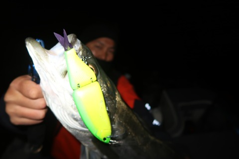 20200307203121_IMG_7888