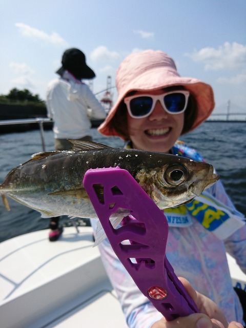 [画像:d45fe421-s.jpg]