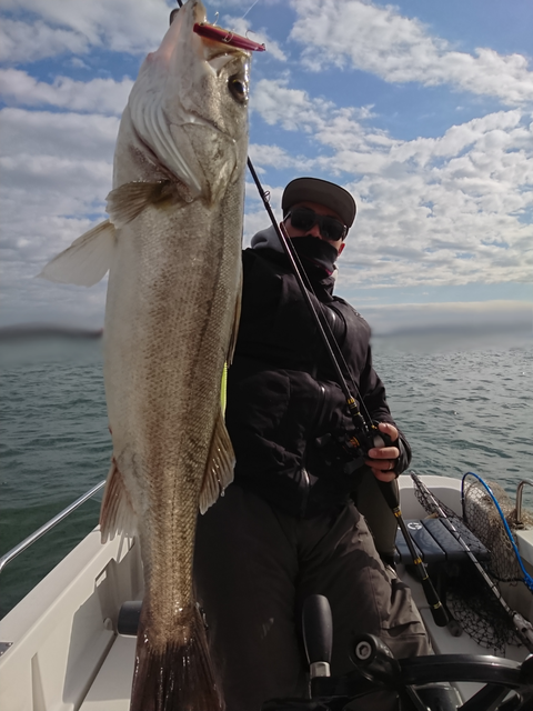 sketch-1544707573260