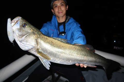 20201001000442_IMG_0324