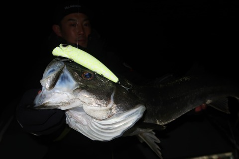 20220223004858_IMG_9762