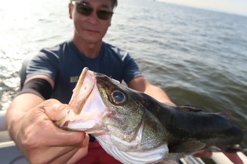 20200825072441_IMG_9956