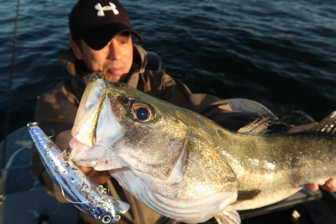 20200928064557_IMG_0268