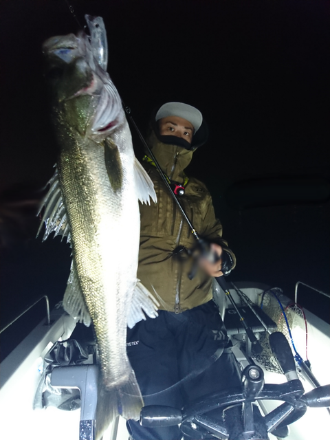 sketch-1542644312066