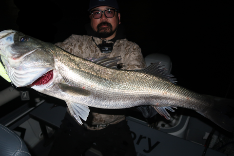 sketch-1764870573622