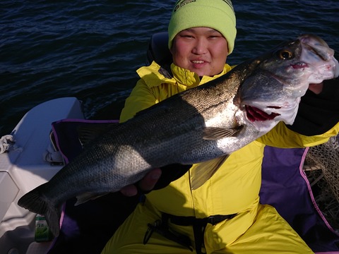 [画像:d6900a95-s.jpg]