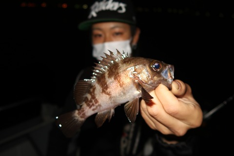 20200503023420_IMG_8685