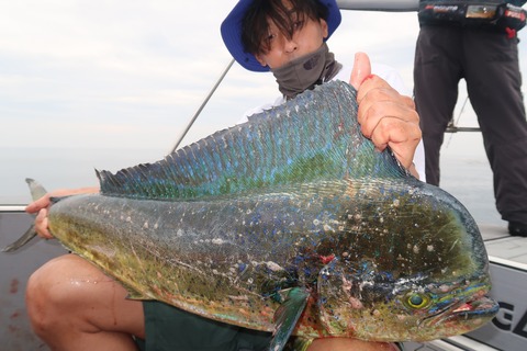 20210706094408_IMG_5499