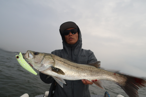 sketch-1602084415124