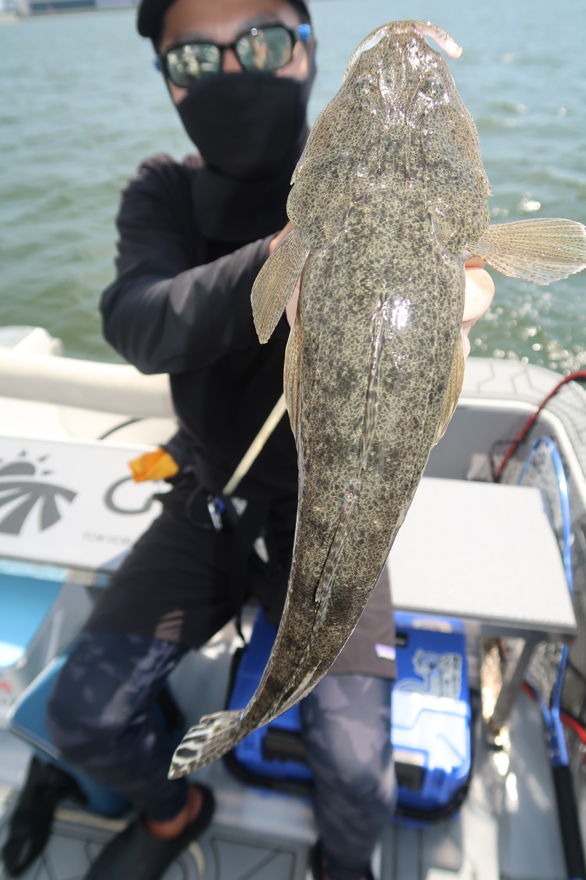 ヒメマスよかえれ! 8月17日釣果情報！！ : TOKYOBAY FISHING GUIDE SERVICE Glory