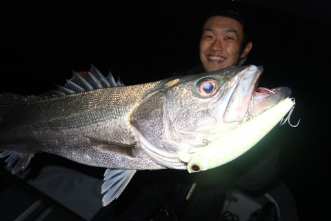 20201015053519_IMG_0580